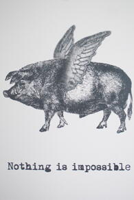 PRINT - PIGWINGS